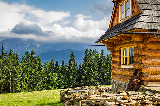 Log cabin with mountain landscape and forest