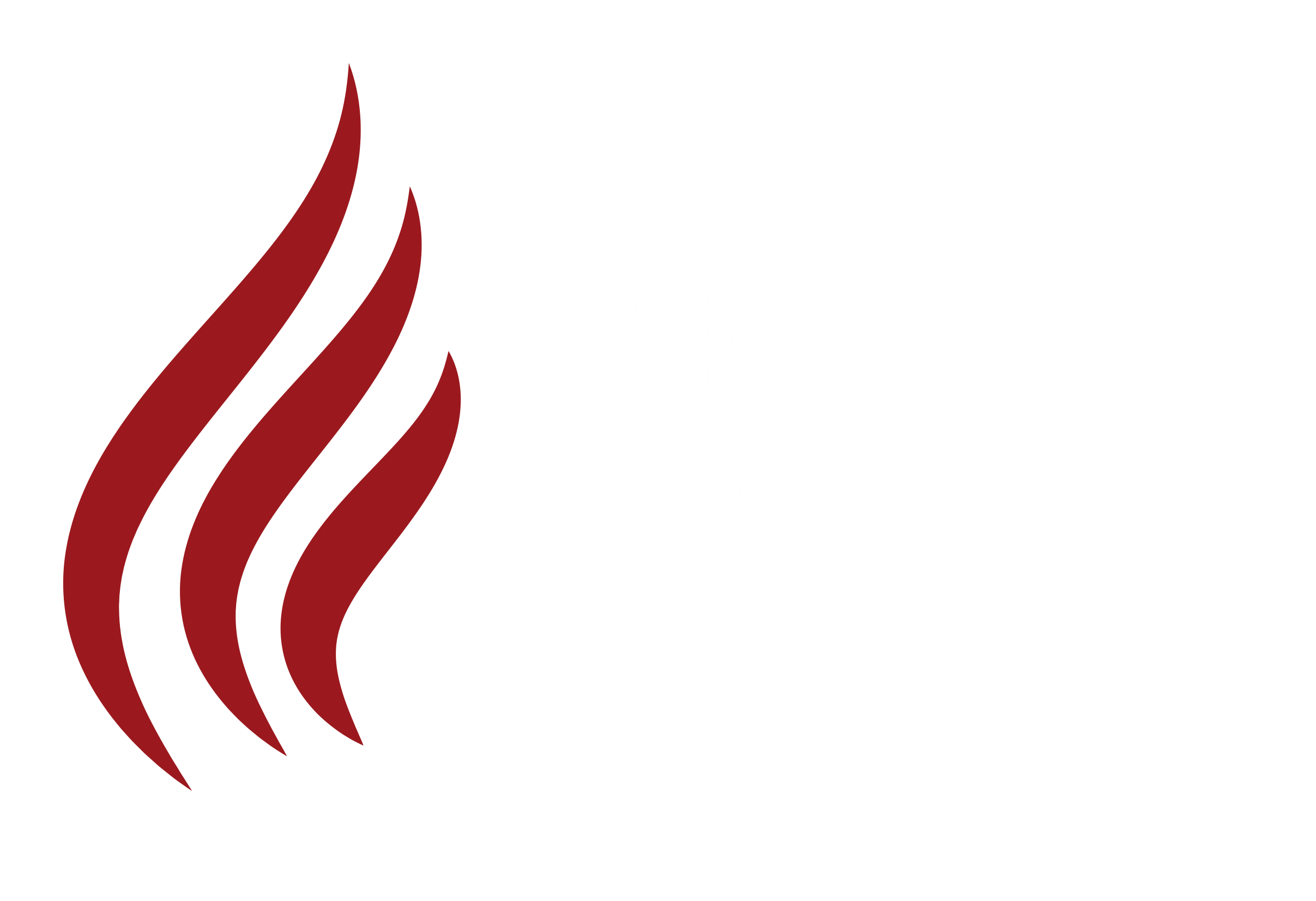 WUI Services Logo